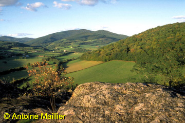 Vue Mont Beuvray